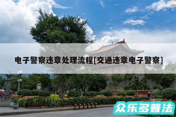 电子警察违章处理流程及交通违章电子警察