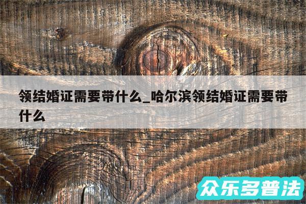 领结婚证需要带什么_哈尔滨领结婚证需要带什么