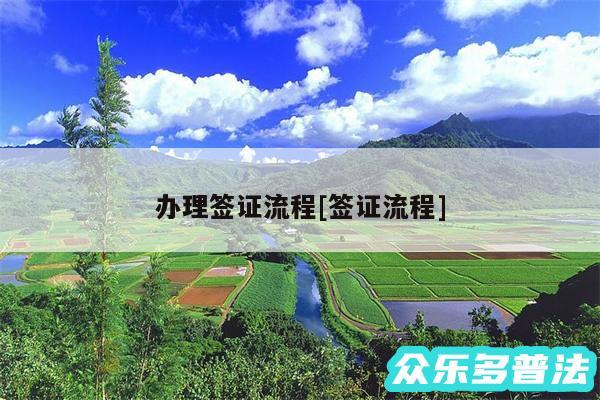 办理签证流程及签证流程
