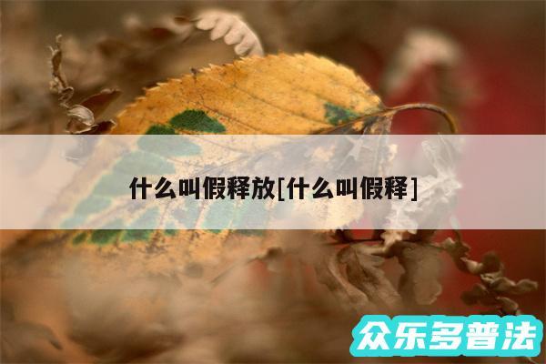 什么叫假释放及什么叫假释