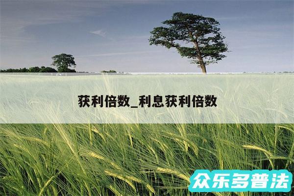 获利倍数_利息获利倍数