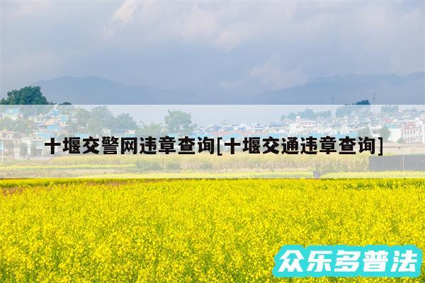 十堰交警网违章查询及十堰交通违章查询