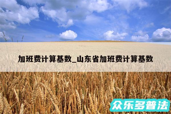 加班费计算基数_山东省加班费计算基数
