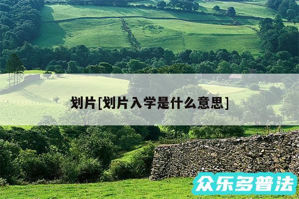 划片及划片入学是什么意思