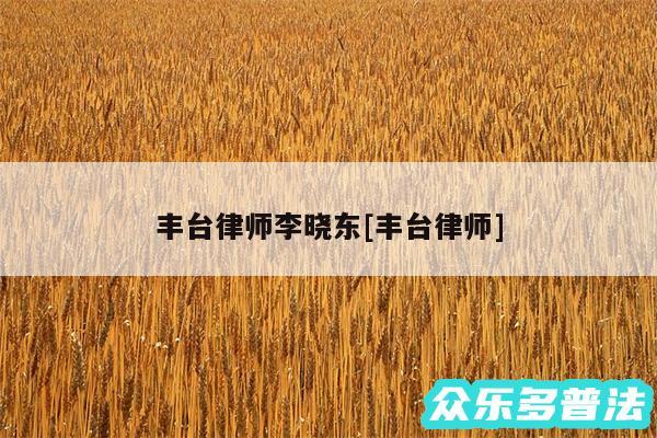 丰台律师李晓东及丰台律师