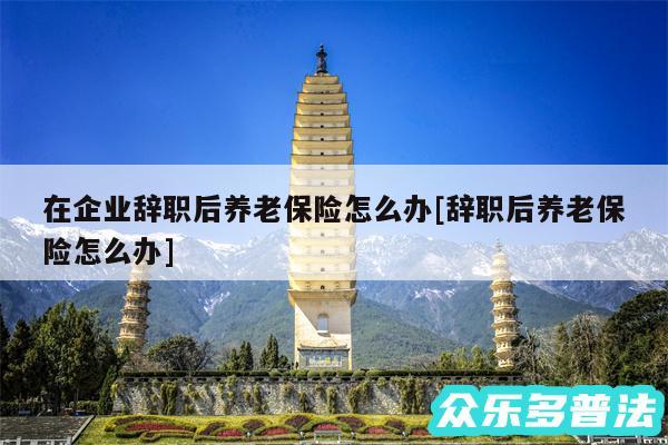 在企业辞职后养老保险怎么办及辞职后养老保险怎么办