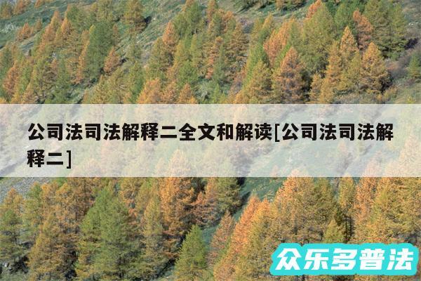 公司法司法解释二全文和解读及公司法司法解释二