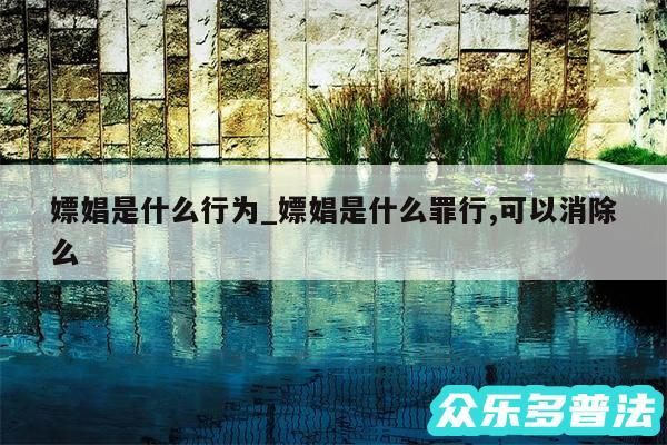 嫖娼是什么行为_嫖娼是什么罪行,可以消除么