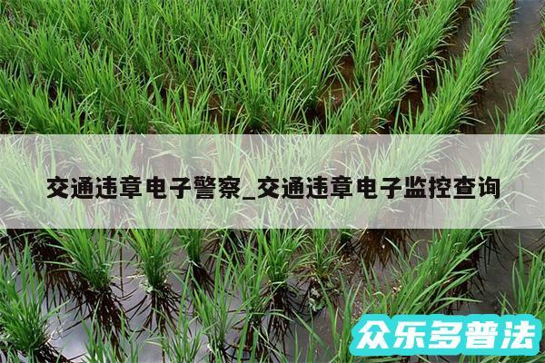 交通违章电子警察_交通违章电子监控查询