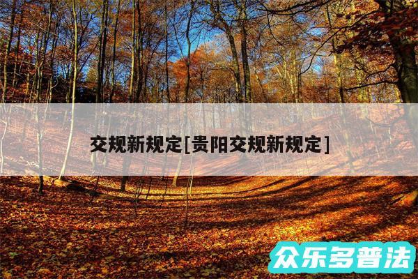 交规新规定及贵阳交规新规定