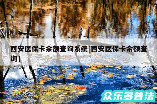西安医保卡余额查询系统及西安医保卡余额查询