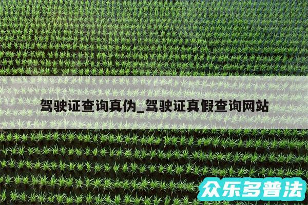 驾驶证查询真伪_驾驶证真假查询网站