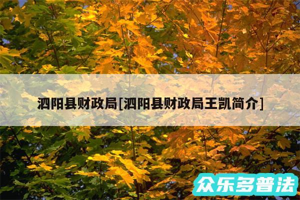 泗阳县财政局及泗阳县财政局王凯简介