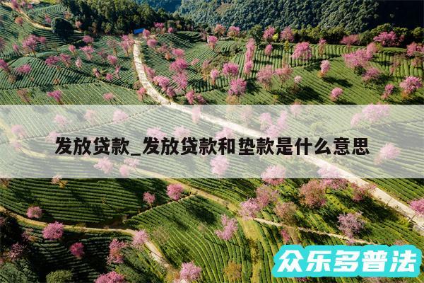 发放贷款_发放贷款和垫款是什么意思