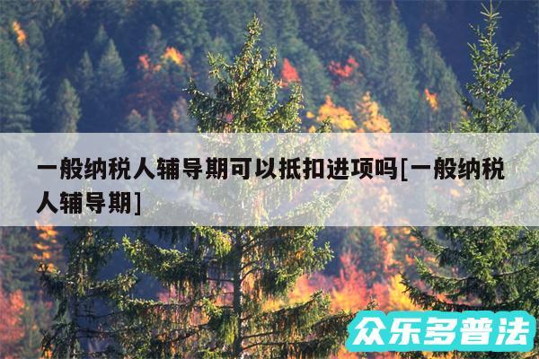 一般纳税人辅导期可以抵扣进项吗及一般纳税人辅导期