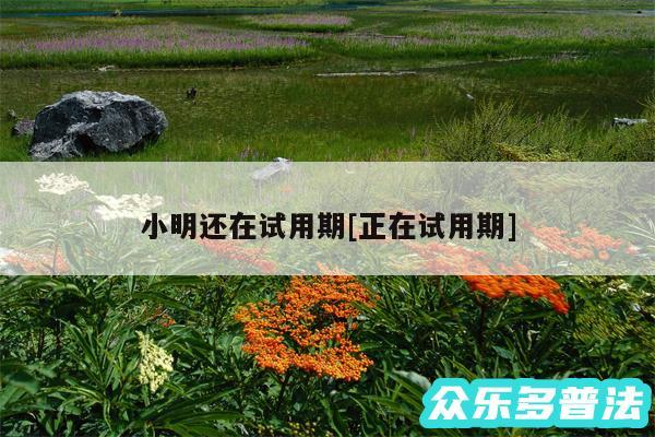小明还在试用期及正在试用期