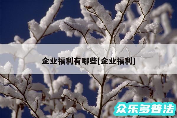 企业福利有哪些及企业福利