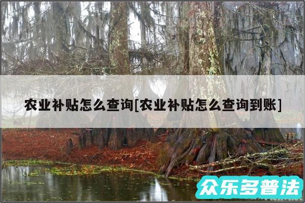 农业补贴怎么查询及农业补贴怎么查询到账