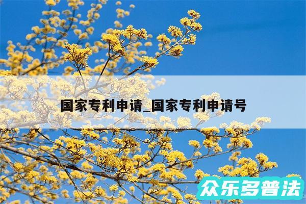 国家专利申请_国家专利申请号