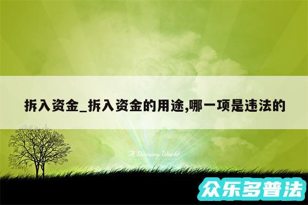 拆入资金_拆入资金的用途,哪一项是违法的