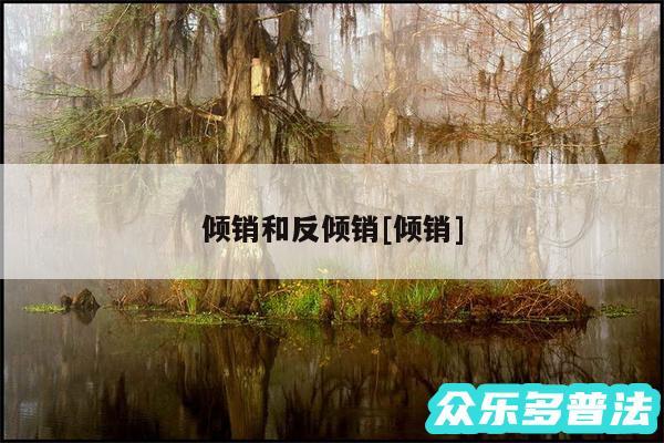 倾销和反倾销及倾销