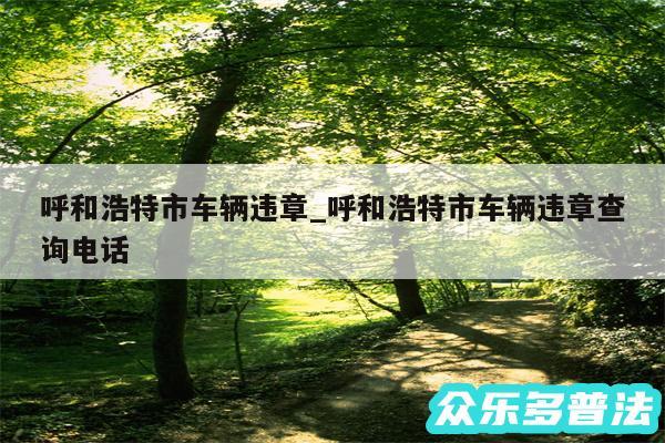 呼和浩特市车辆违章_呼和浩特市车辆违章查询电话
