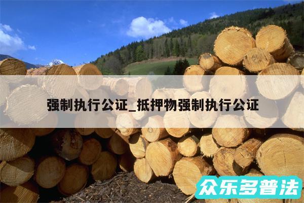强制执行公证_抵押物强制执行公证