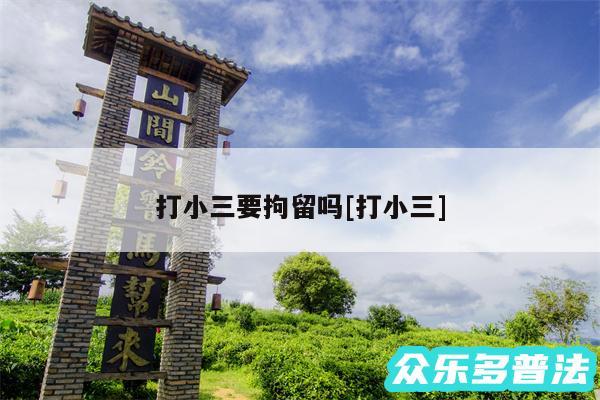 打小三要拘留吗及打小三