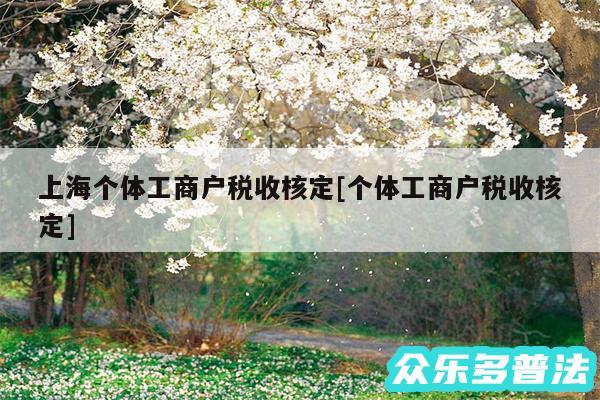 上海个体工商户税收核定及个体工商户税收核定