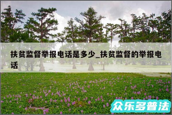 扶贫监督举报电话是多少_扶贫监督的举报电话