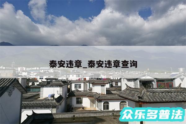 泰安违章_泰安违章查询