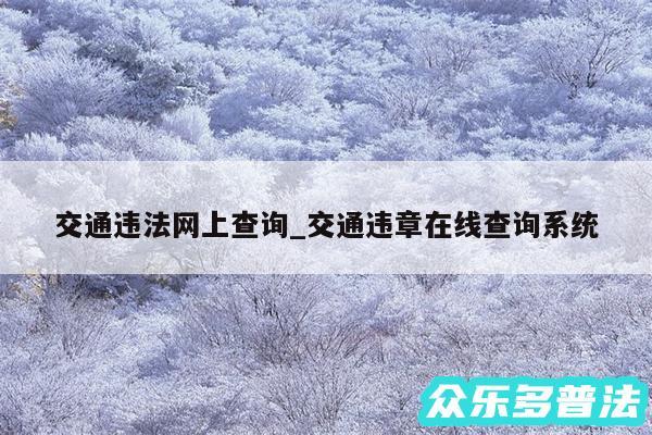 交通违法网上查询_交通违章在线查询系统
