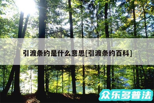 引渡条约是什么意思及引渡条约百科
