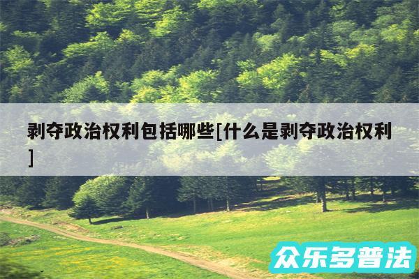 剥夺政治权利包括哪些及什么是剥夺政治权利