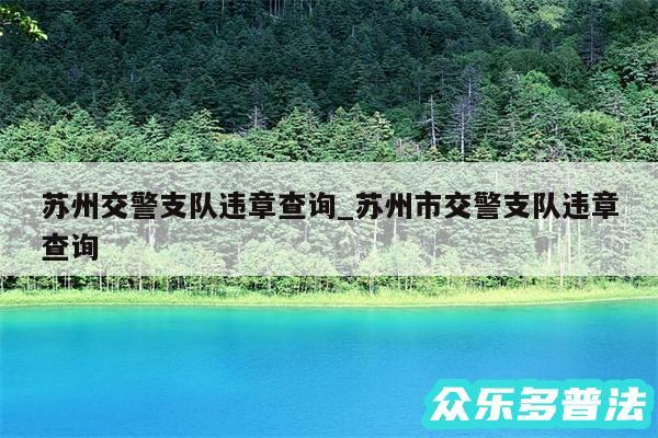 苏州交警支队违章查询_苏州市交警支队违章查询