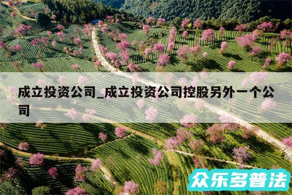 成立投资公司_成立投资公司控股另外一个公司