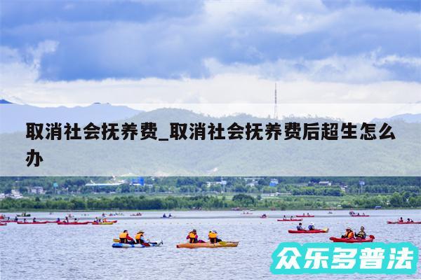 取消社会抚养费_取消社会抚养费后超生怎么办