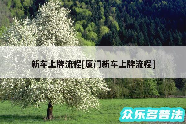 新车上牌流程及厦门新车上牌流程