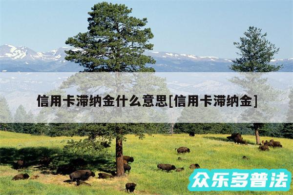 信用卡滞纳金什么意思及信用卡滞纳金