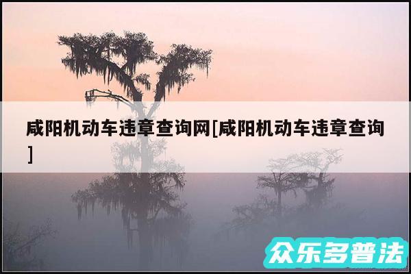 咸阳机动车违章查询网及咸阳机动车违章查询