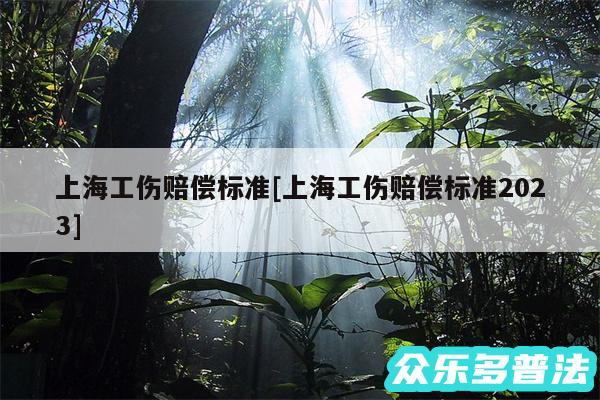 上海工伤赔偿标准及上海工伤赔偿标准2024