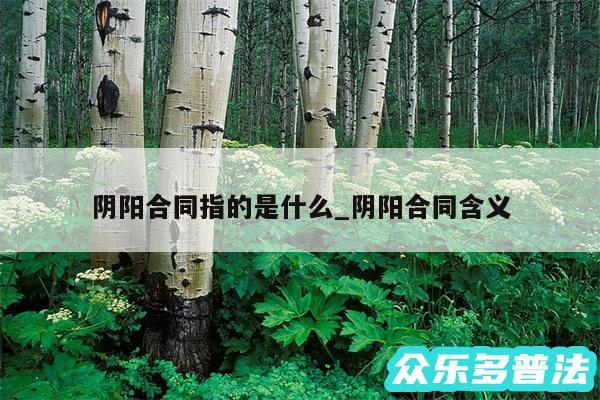 阴阳合同指的是什么_阴阳合同含义