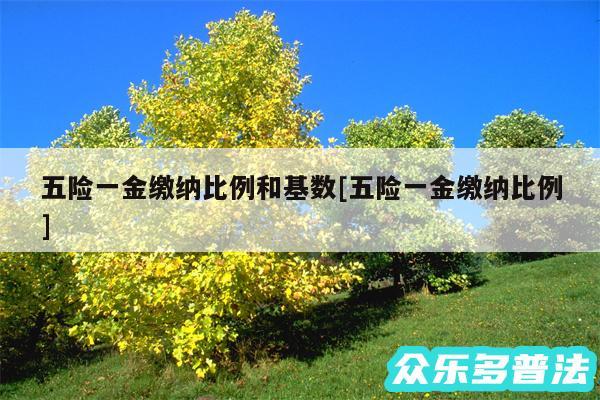 五险一金缴纳比例和基数及五险一金缴纳比例