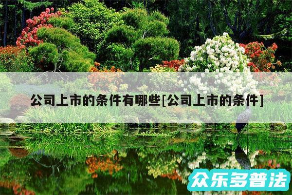 公司上市的条件有哪些及公司上市的条件