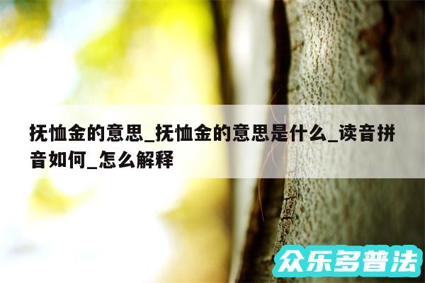 抚恤金的意思_抚恤金的意思是什么_读音拼音如何_怎么解释