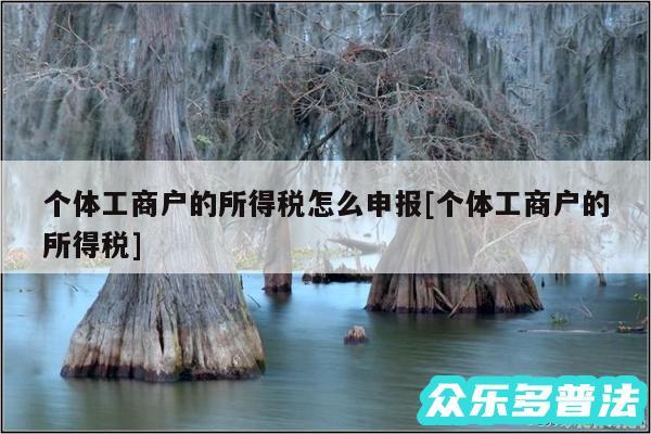 个体工商户的所得税怎么申报及个体工商户的所得税