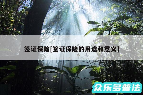 签证保险及签证保险的用途和意义