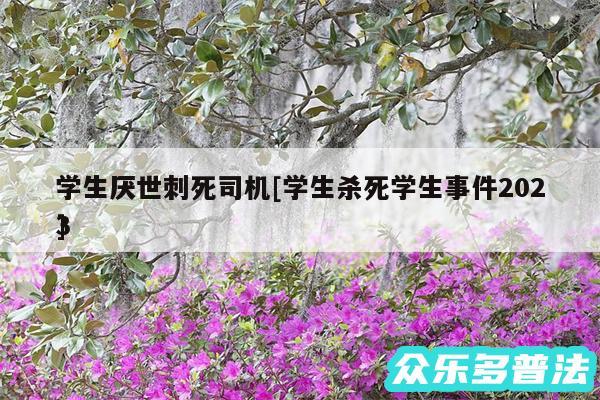 学生厌世刺死司机及学生杀死学生事件2024