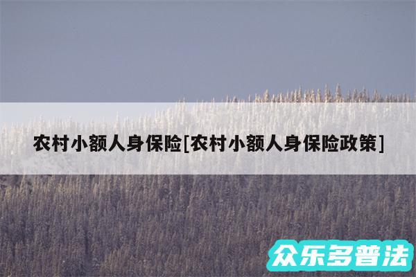 农村小额人身保险及农村小额人身保险政策