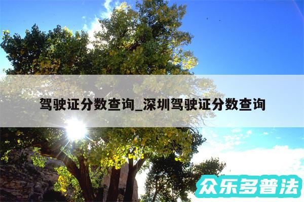 驾驶证分数查询_深圳驾驶证分数查询